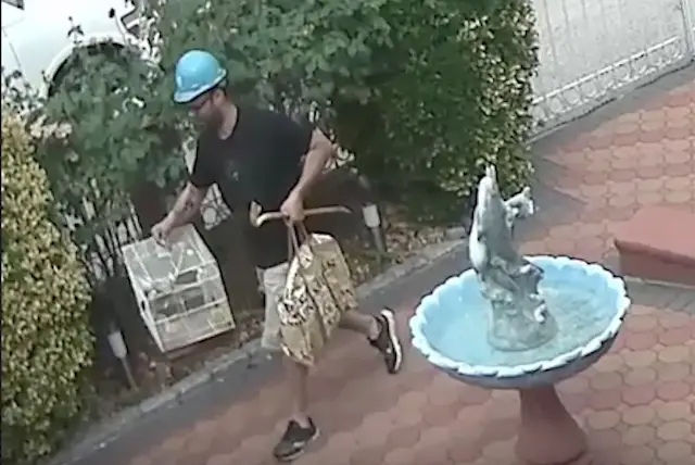 The suspect, making his getaway, birdcage in hand.